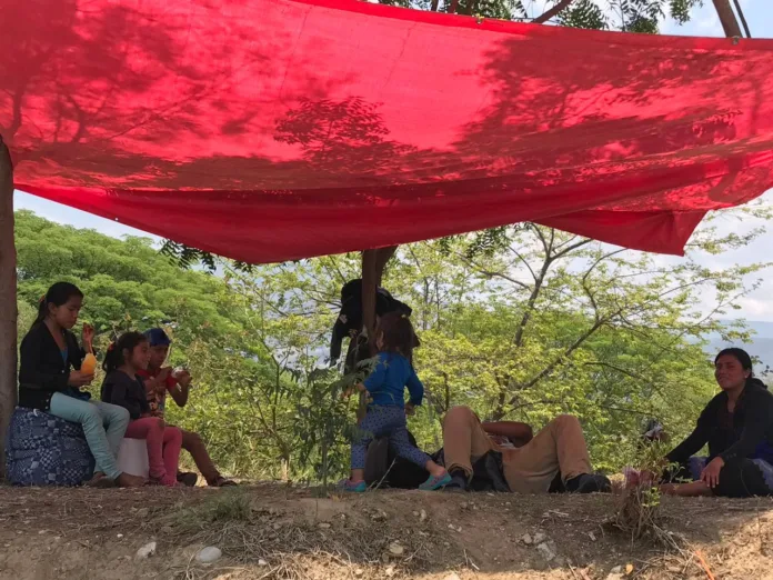 Entre la impunidad y la incertidumbre, familias indígenas del Ejido Puebla cumplen 3 años de ser desplazadas (17)