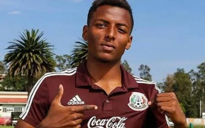 joao-maleck