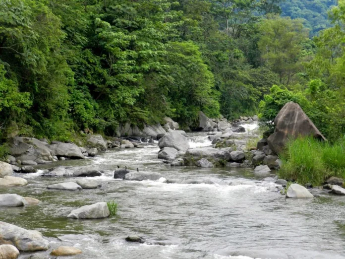 hermoso-cuilco