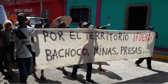 Bachoco
