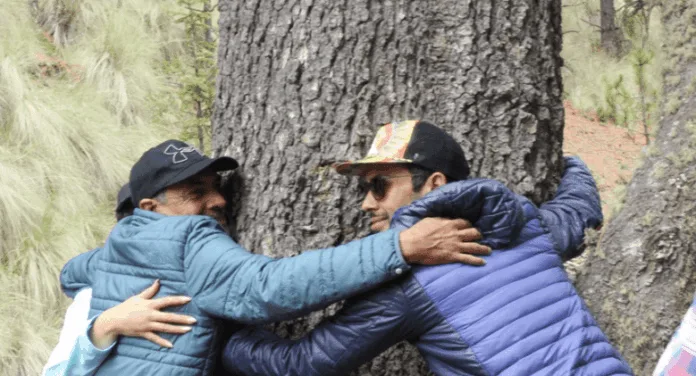 dia-del-arbol