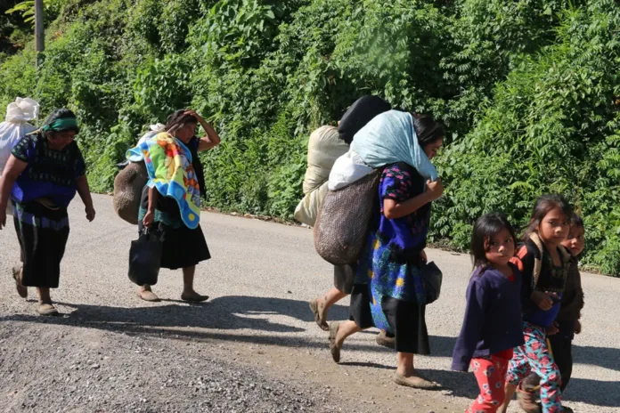 portada_desplazadas 90 personas son desplazadas por la violencia en Pantelhó, Chiapas