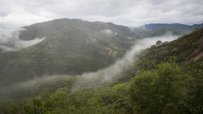 Matrimonios forzados de niñas indígenas, una práctica recurrente en la montaña de Guerrero