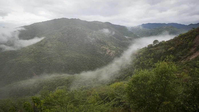 Matrimonios forzados de niñas indígenas, una práctica recurrente en la montaña de Guerrero Matrimonios forzados de niñas indígenas, una práctica recurrente en la montaña de Guerrero