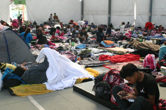 Una Caravana que caminó 50 días para llegar a la Basílica de Guadalupe