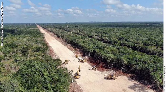 Tren Maya Devastación: Tren de la Muerte Tren Maya
