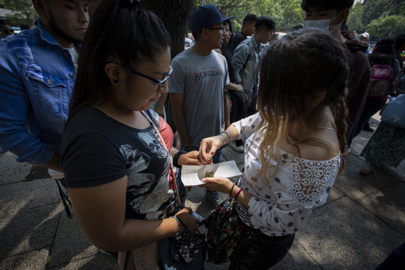 XXII Marcha del Día Mundial por la liberación de la Marihuana