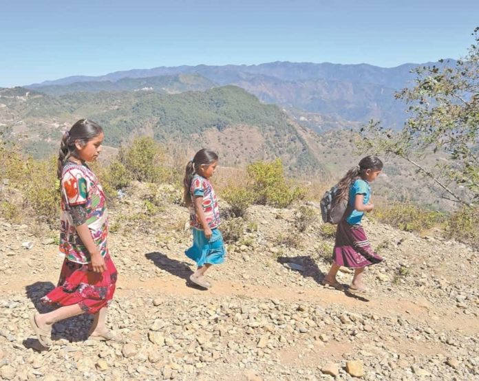 despenalización del aborto en Guerrero Guerrero
