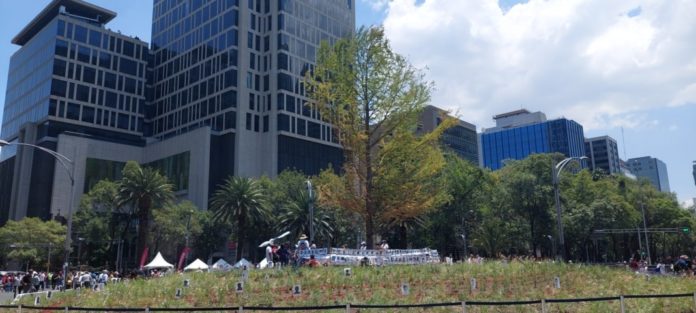 Glorieta de las y los desaparecidos desaparecidos de México