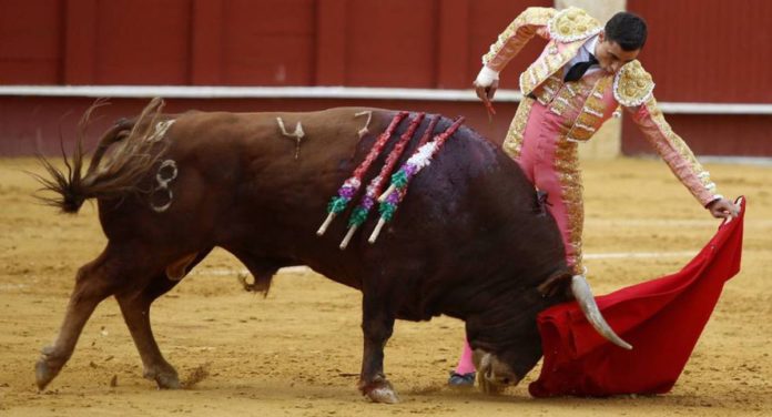 corridas de toros corridas de toros