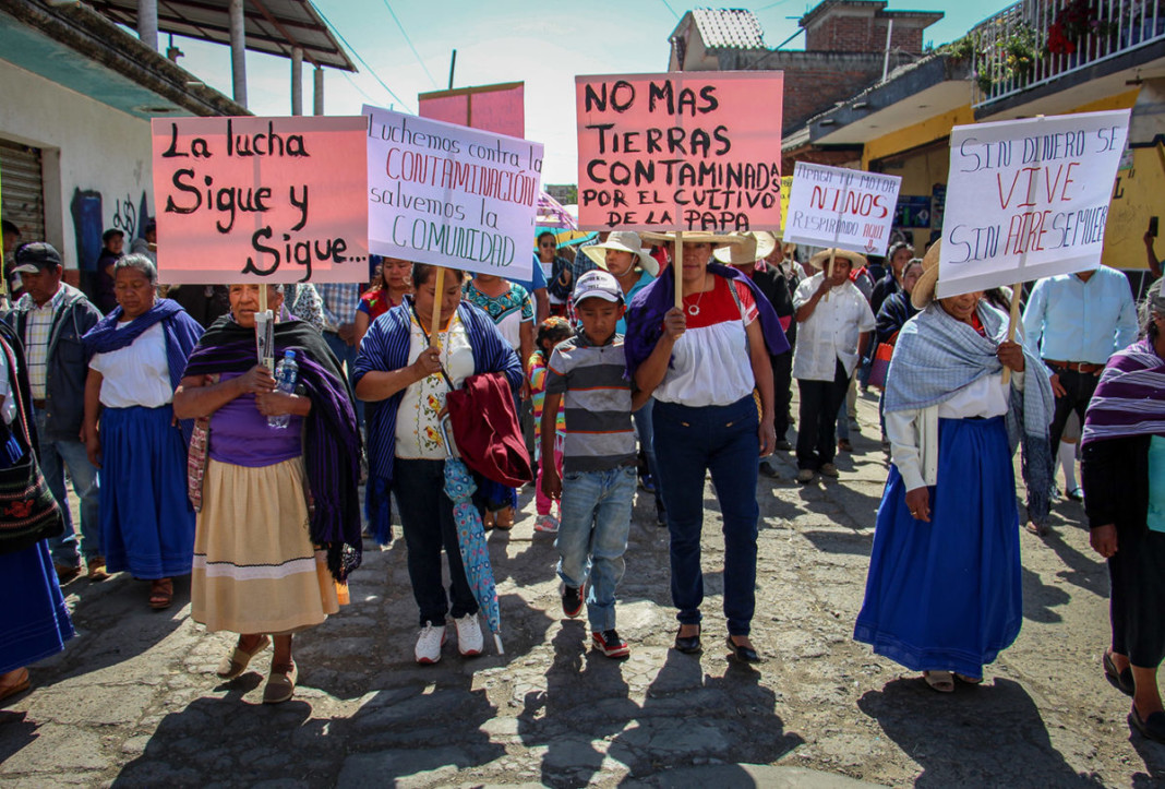 Mujeres Purépecha