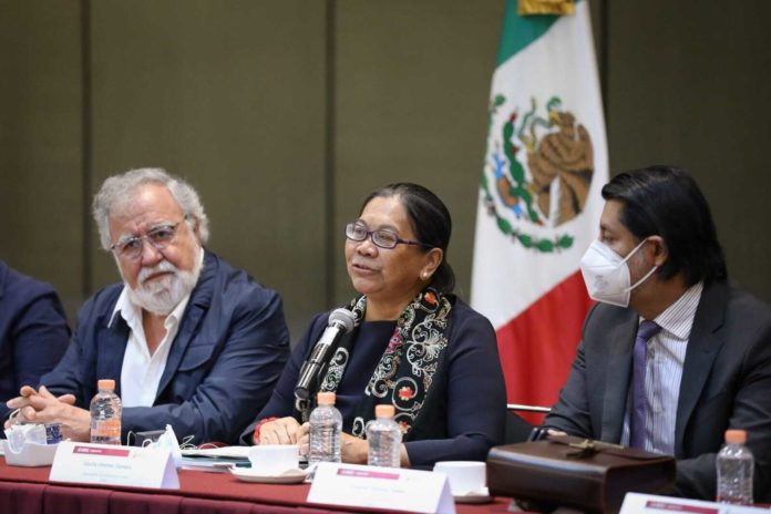Cecilia Jimenez-Damary, Relatora especial sobre los derechos humanos de los desplazados internos de las Naciones Unidas (ONU); desplazamiento forzado a las personas defensoras de derechos humanos y periodistas desplazamiento forzado