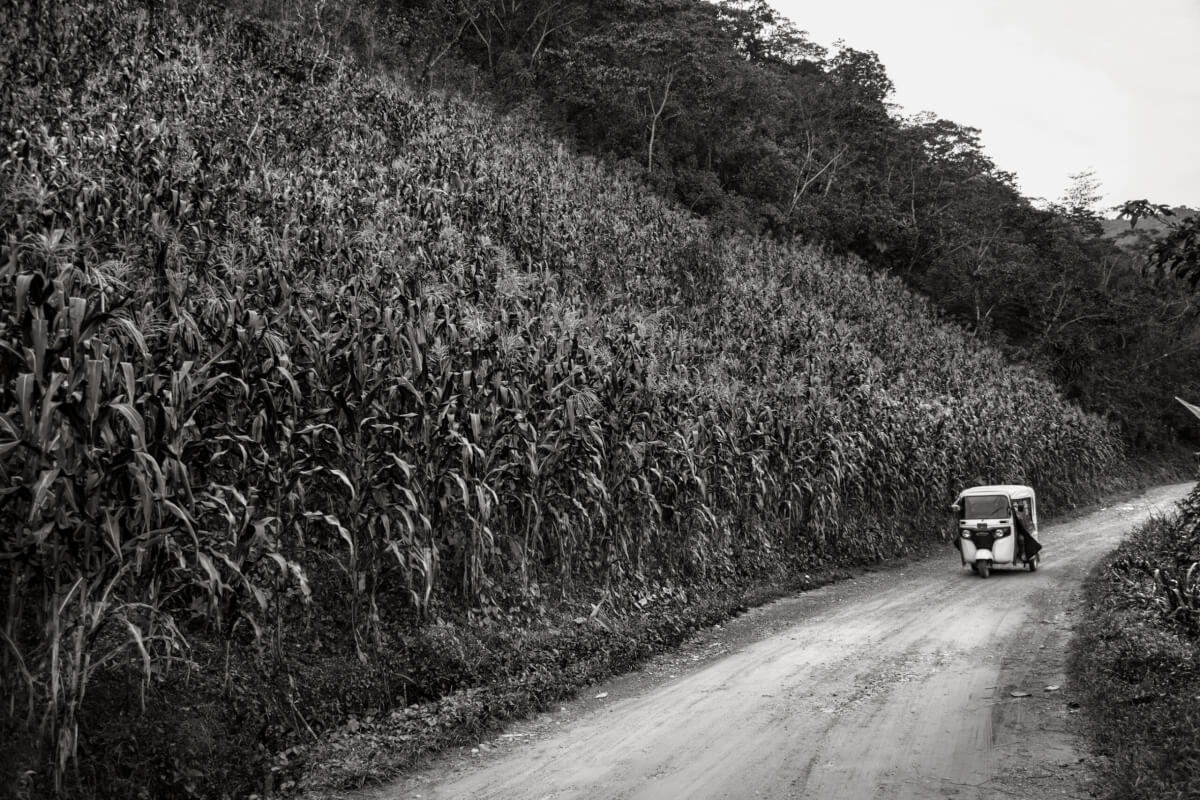 Acteal: Tejiendo la memoria