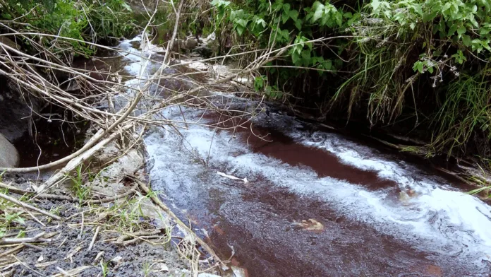 mail Centro Fray Julián Garcés denuncia falta de acciones gubernamentales adecuadas para abordar la devastación en la Cuenca del Alto Atoyac en Tlaxcala