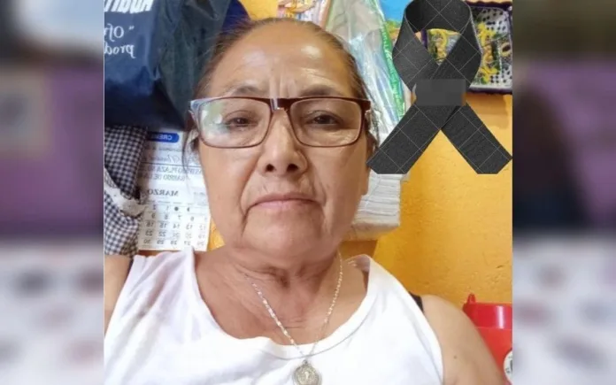 344246466_786238562736739_3879496907256454498_n ONU-DH Teresa Magueyal Guanajuato