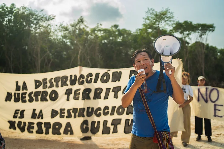 Ecocidio en Quintana Roo por Tren Maya