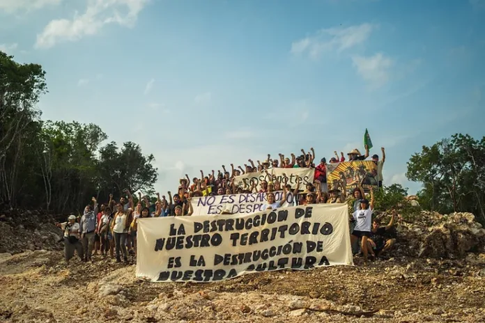 467d0a_a85d3bccad1d4c329ec9b10196207fa3~mv2 El día 8 de la Caravana el Sur Resiste pudo documentar la destrucción y tala de miles de árboles en tan sólo una pequeña parte de lo que es el tramo 6 del proyecto Tren Maya, específicamente en el cruce a Laguna Ocom en Quintana Roo.