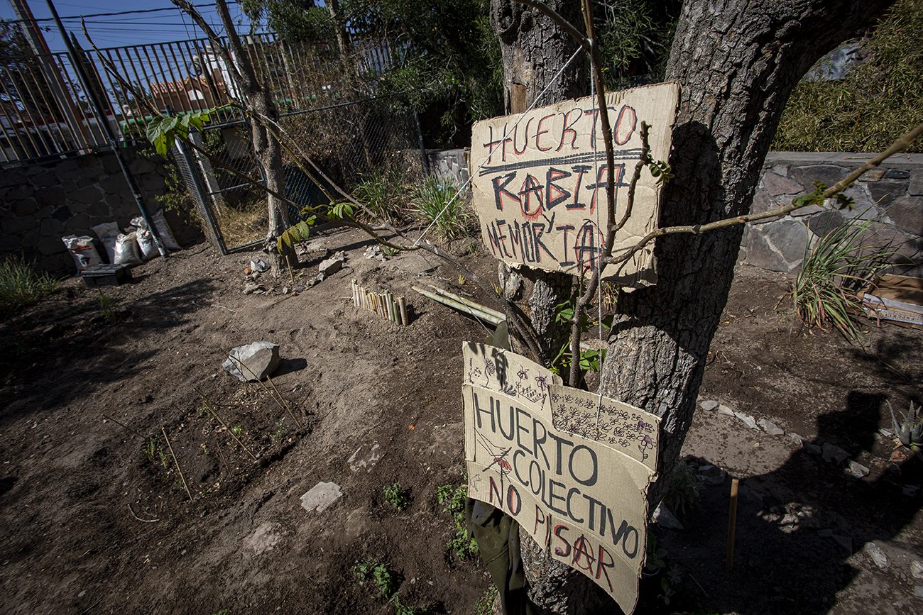 #CUCSHNoSeMueve: “Hoy concluye el paro, pero no nuestra lucha y resistencia