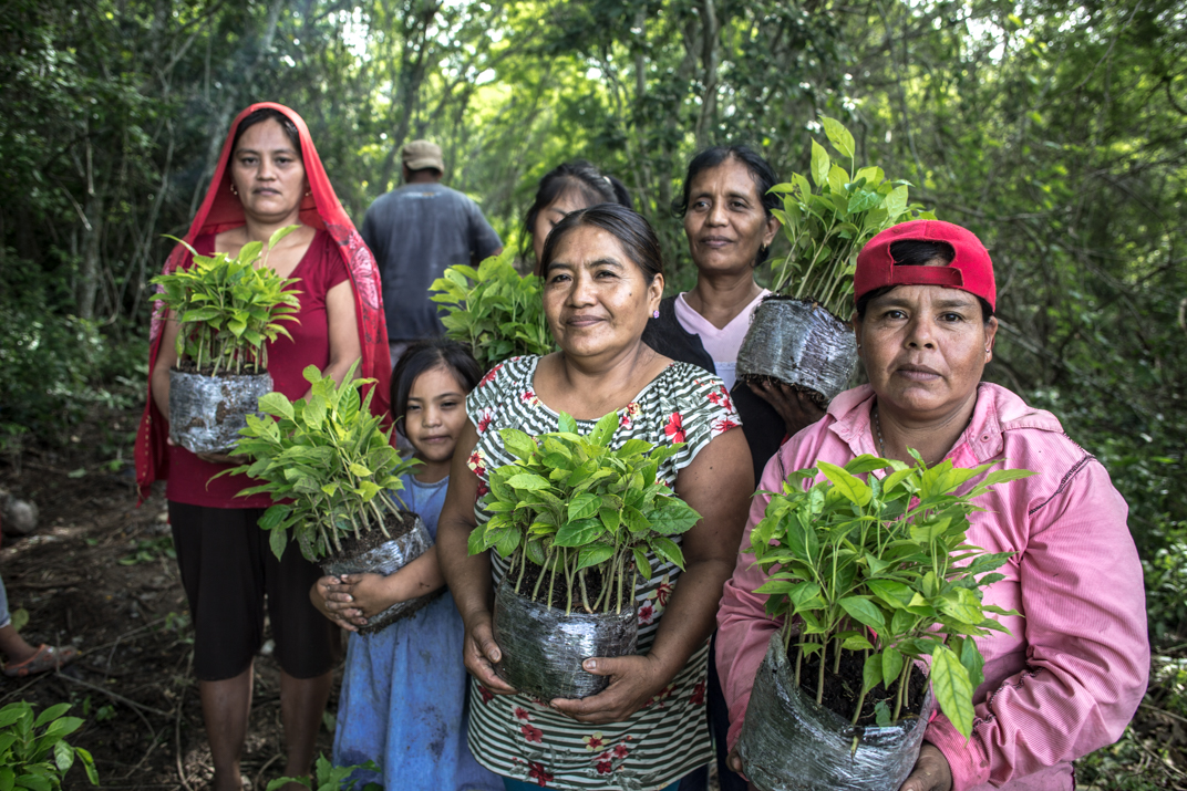 Mujeres, sostenimiento y cuidados en la defensa de Santa María Ostula