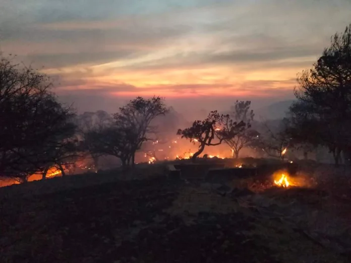 Fv-_pa_XwAE-lai Incendio Mezcala