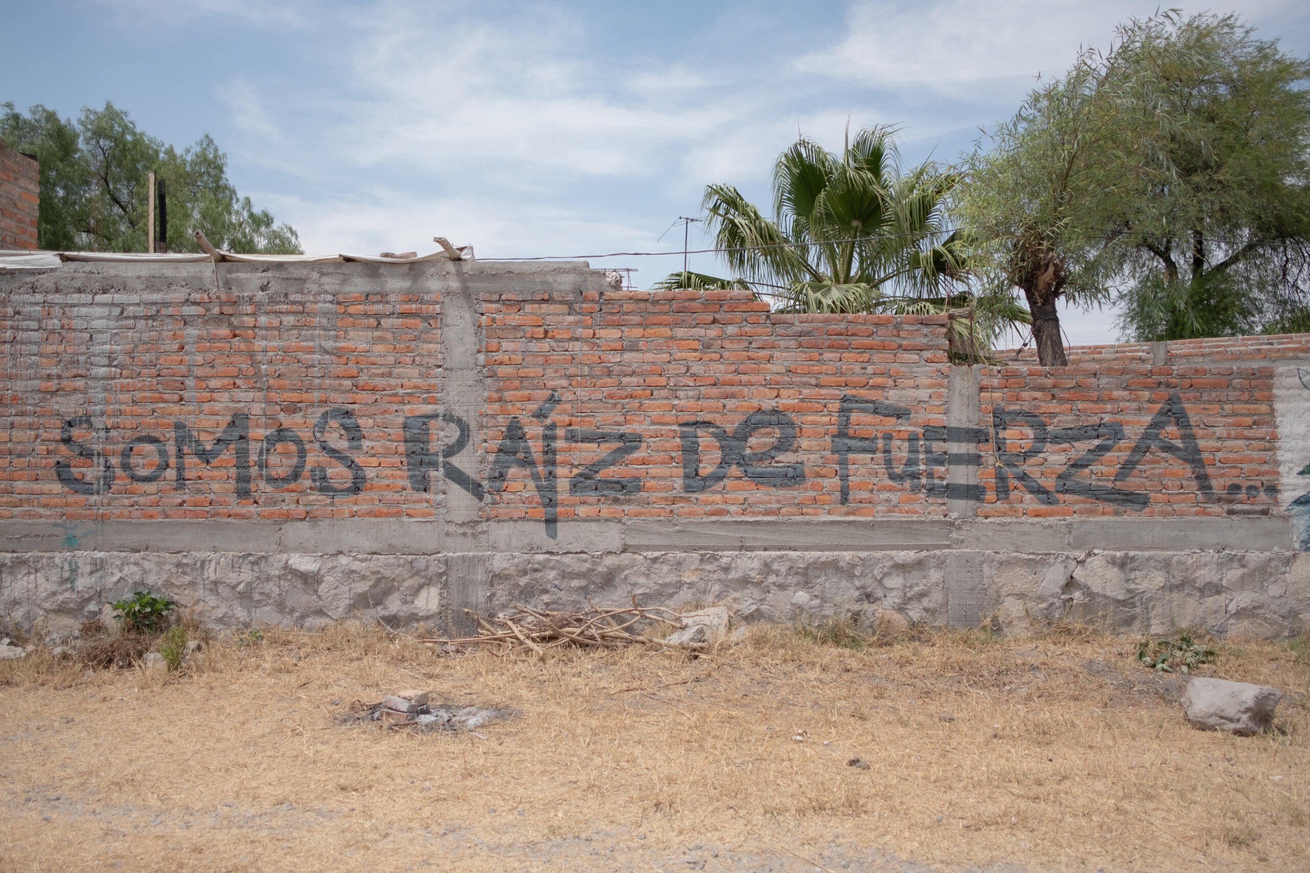 Las mujeres indómitas