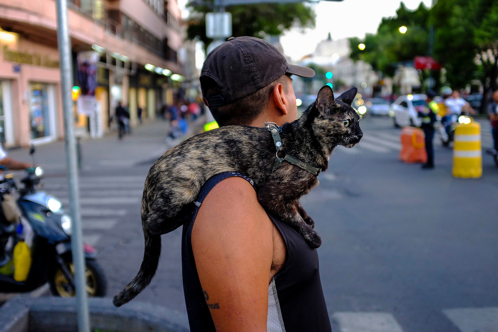 Street photography: CDMX 2023