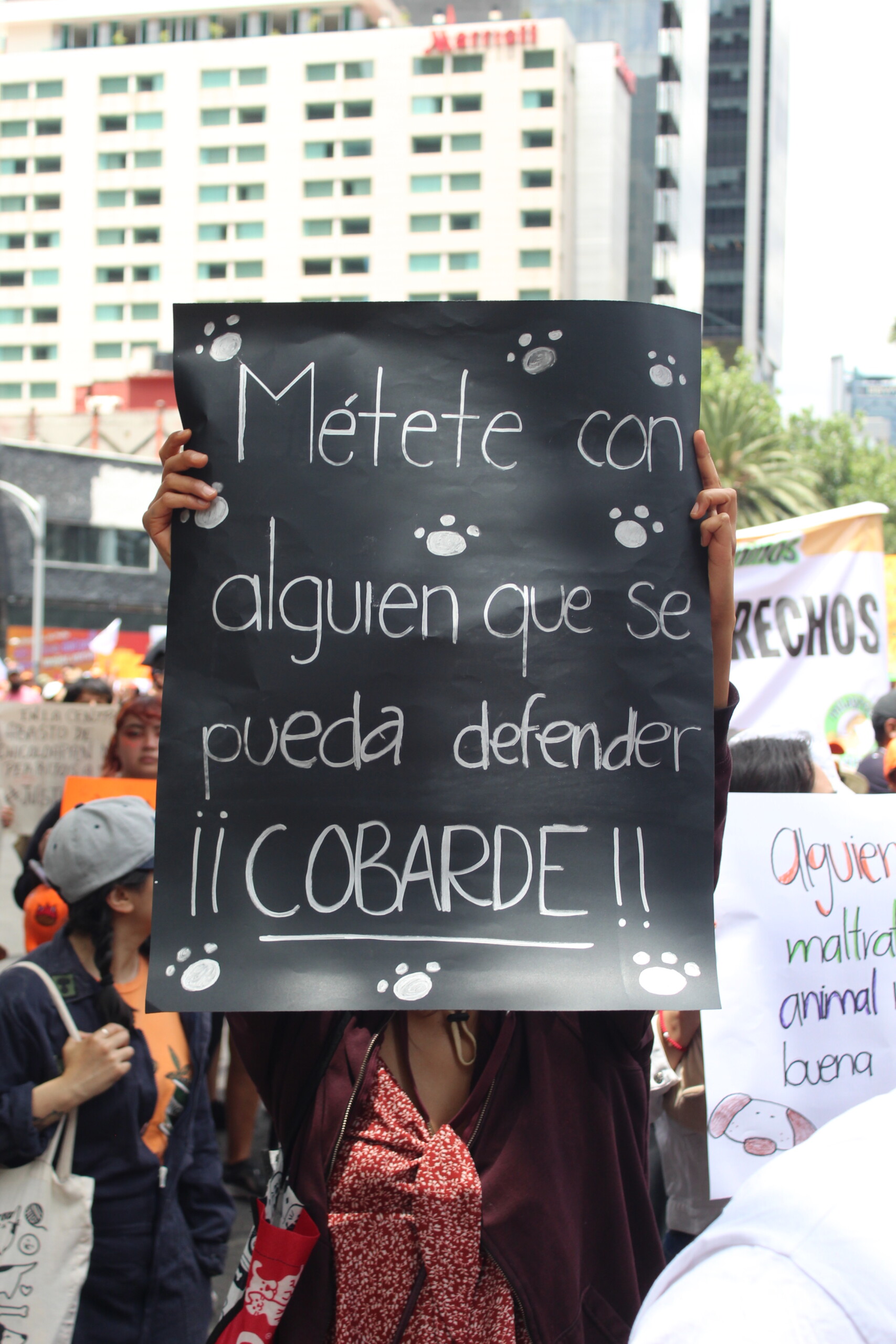 Miles de personas marchan en la CDMX para exigir justicia y protección para los animales