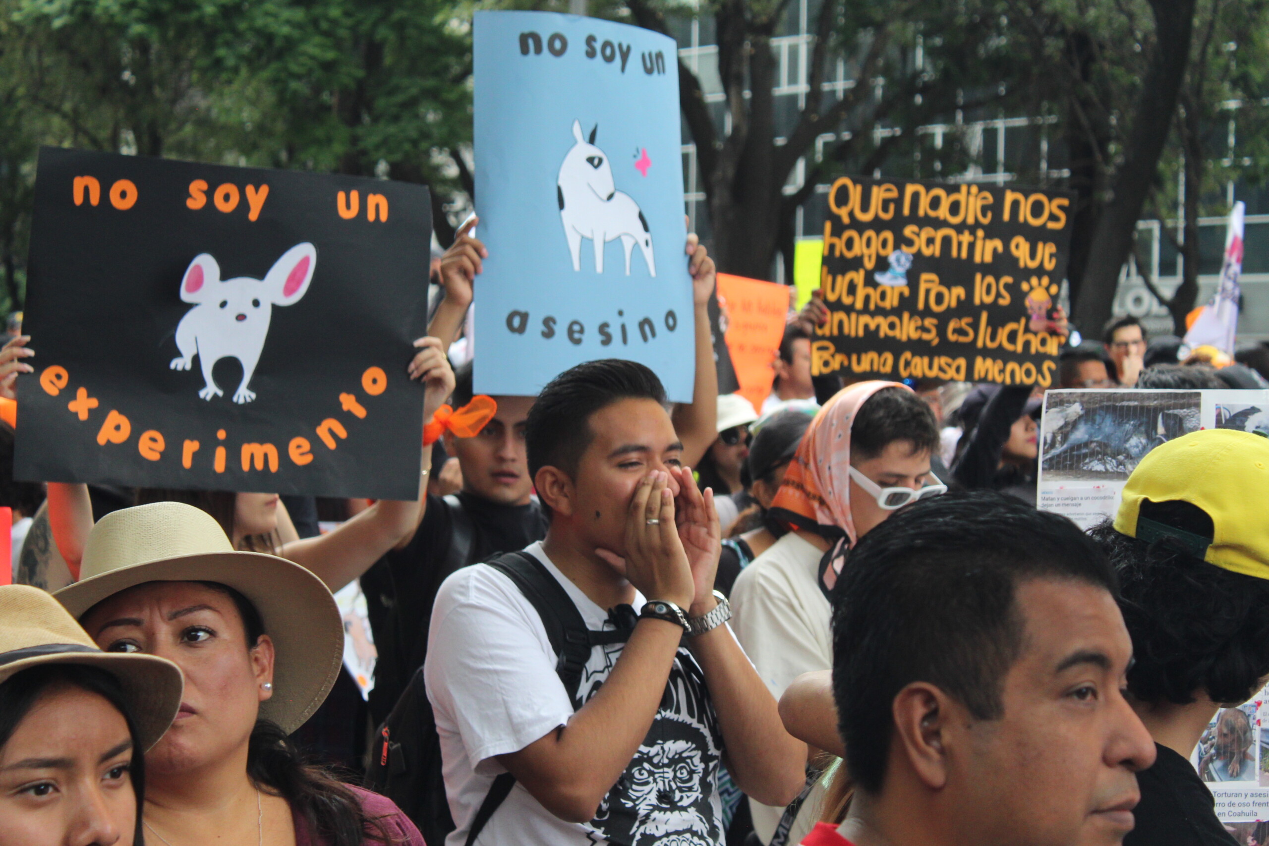 Miles de personas marchan en la CDMX para exigir justicia y protección para los animales