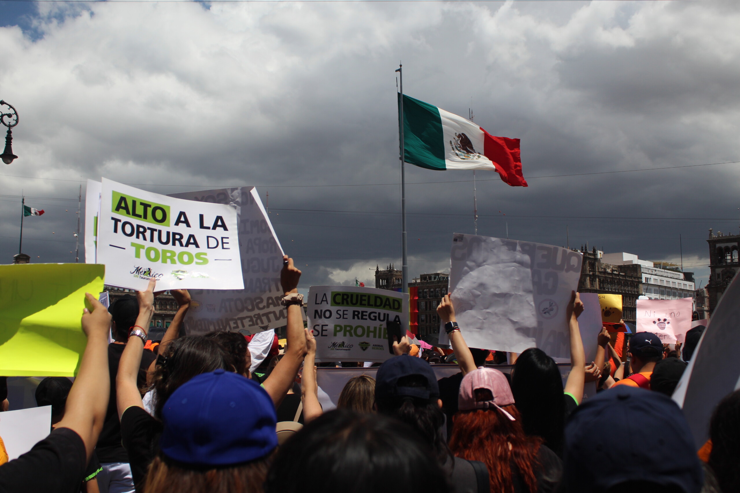 Miles de personas marchan en la CDMX para exigir justicia y protección para los animales