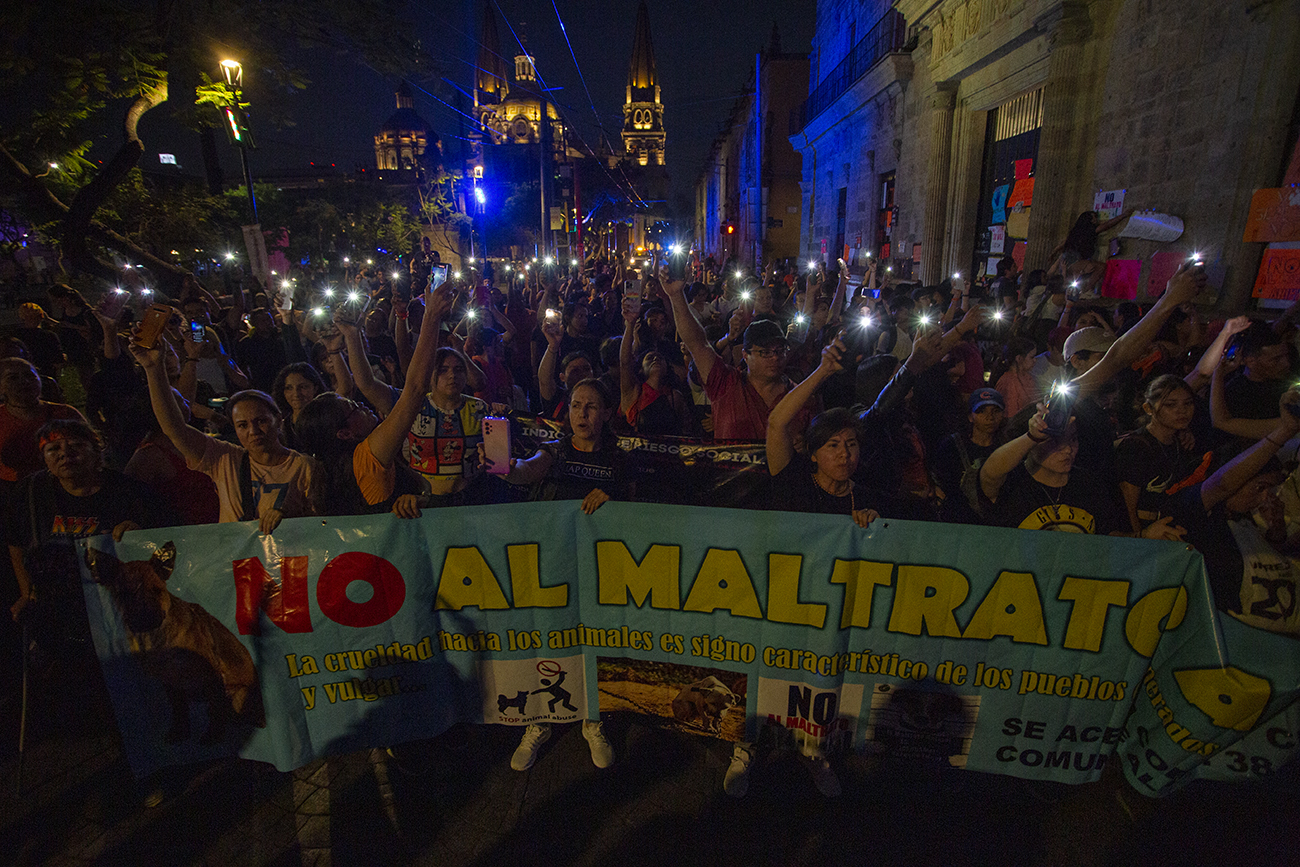 “Ni una patita menos” más de mil personas marchan en Guadalajara para exigir alto al maltrato animal