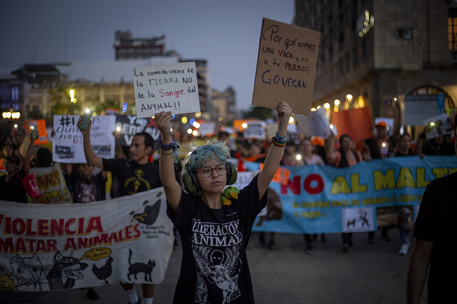 “Ni una patita menos” más de mil personas marchan en Guadalajara para exigir alto al maltrato animal