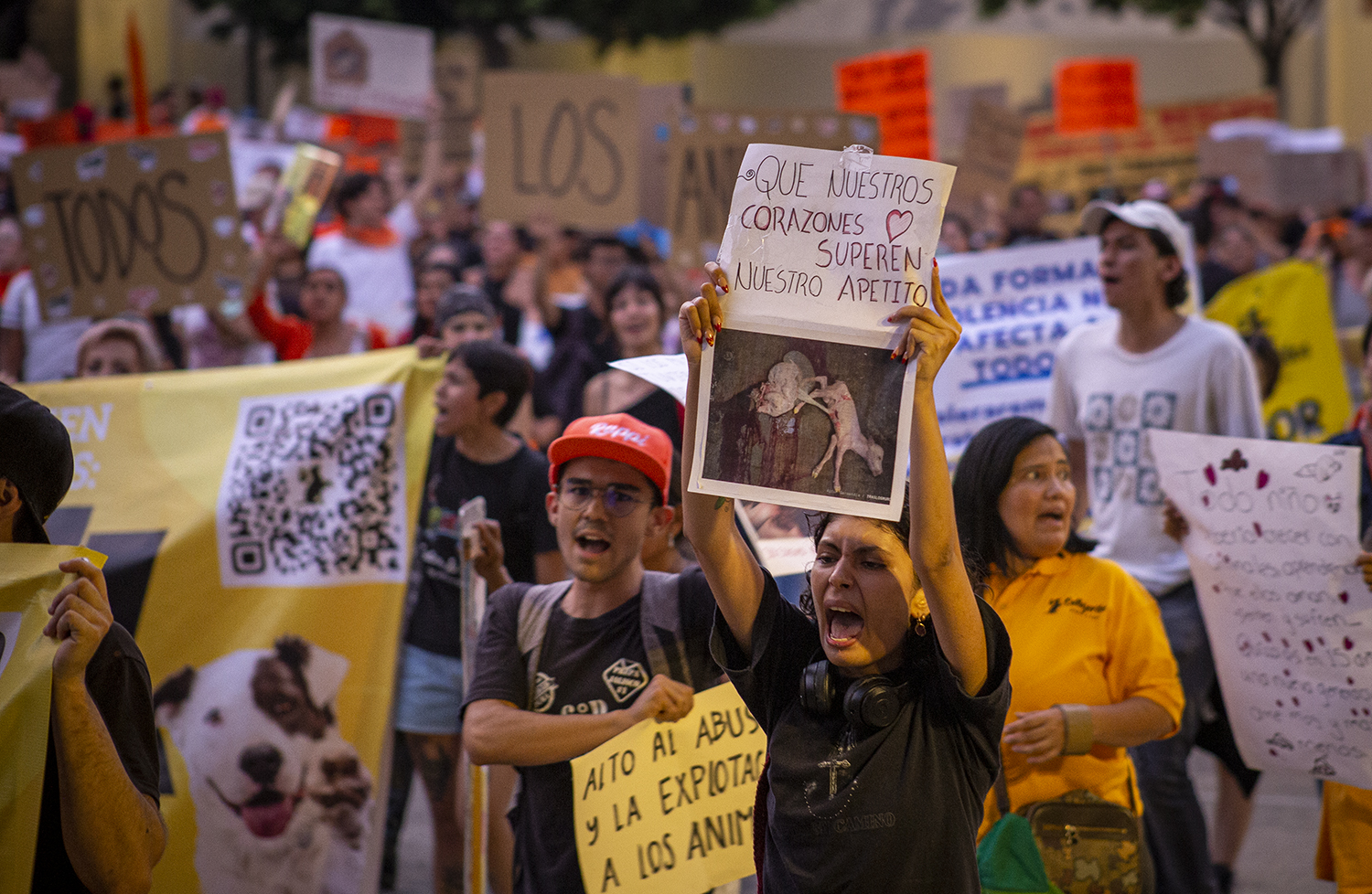 “Ni una patita menos” más de mil personas marchan en Guadalajara para exigir alto al maltrato animal