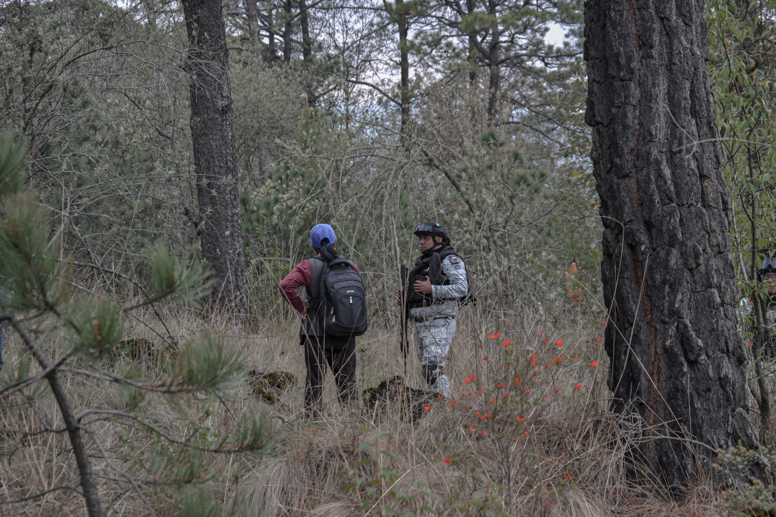 Una aguja en un pajar: Buscar a una persona desaparecida en el Ajusco