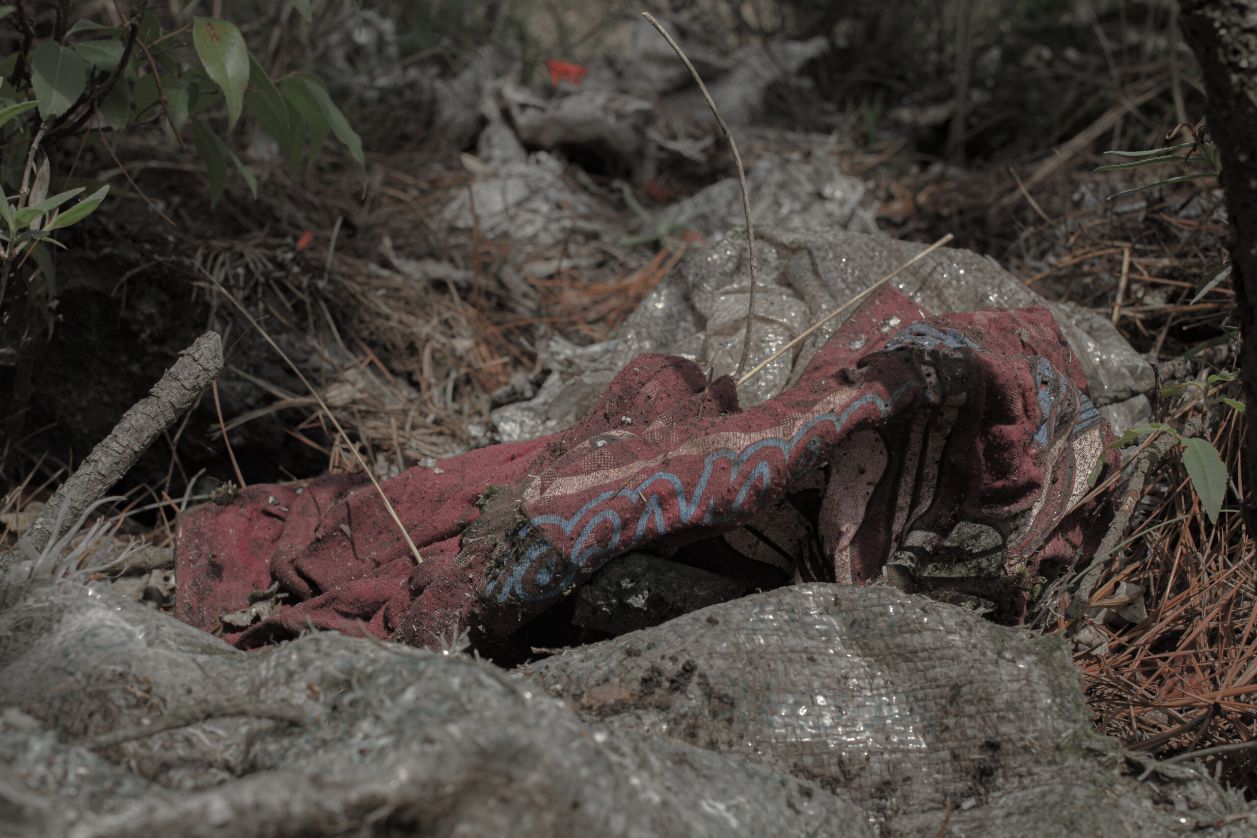 Una aguja en un pajar: Buscar a una persona desaparecida en el Ajusco
