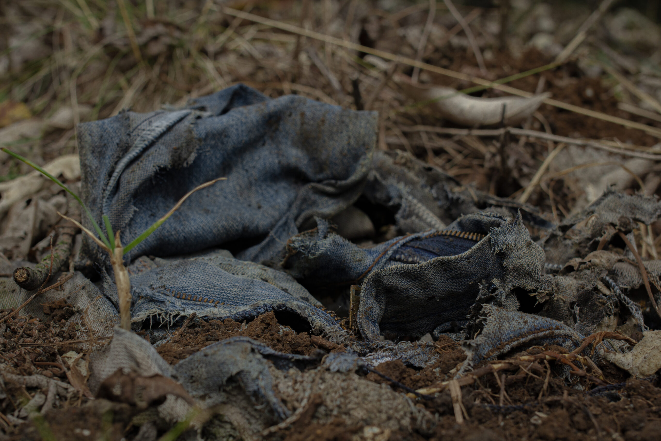 Una aguja en un pajar: Buscar a una persona desaparecida en el Ajusco