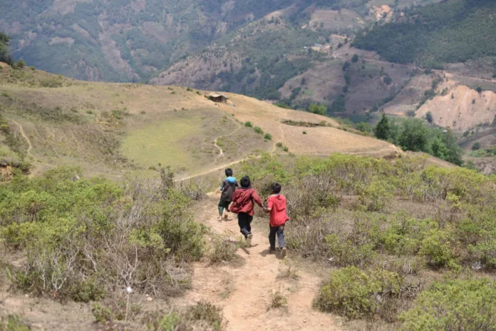OPINIÓN Violencia y trabajo infantil en la Montaña