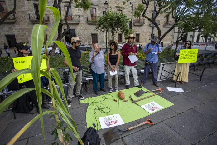 Huertos Ley de Huertos Urbanos en Jalisco: red agroecológica denuncia intento de control sobre la agricultura comunitaria