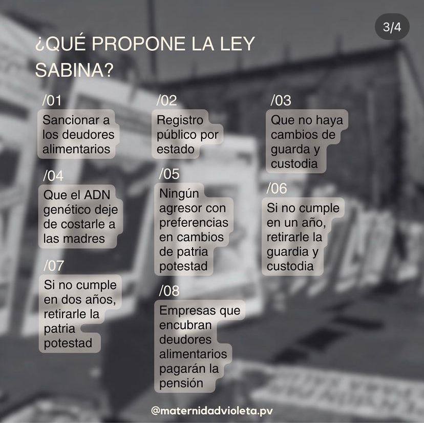 “No más anonimato para deudores alimentarios” colectiva Maternidad Violeta impulsa Ley Sabina en Puerto Vallarta