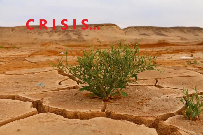CRISIS