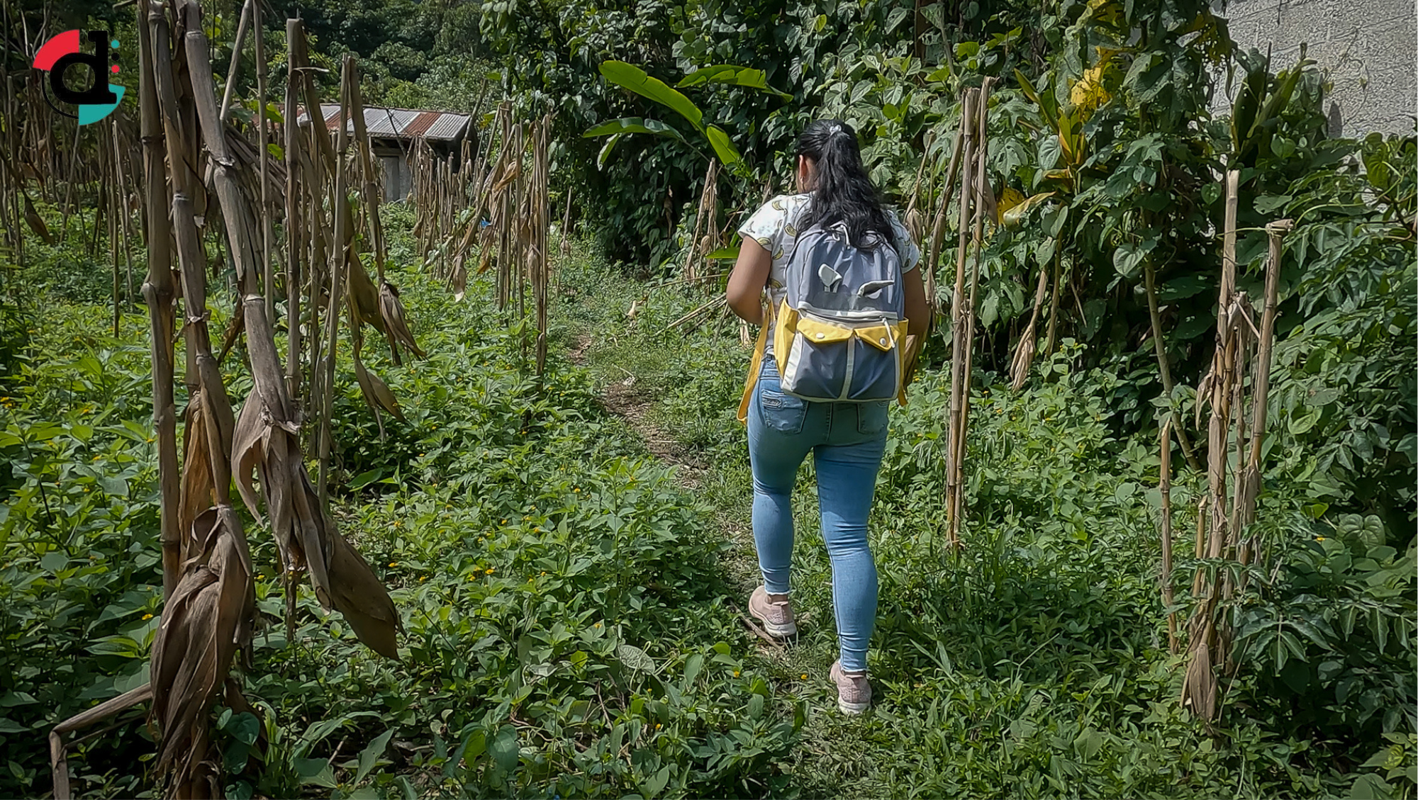 Wiki Katat: el sueño de telecomunicaciones comunitarias que germina en la sierra Nororiental de Puebla