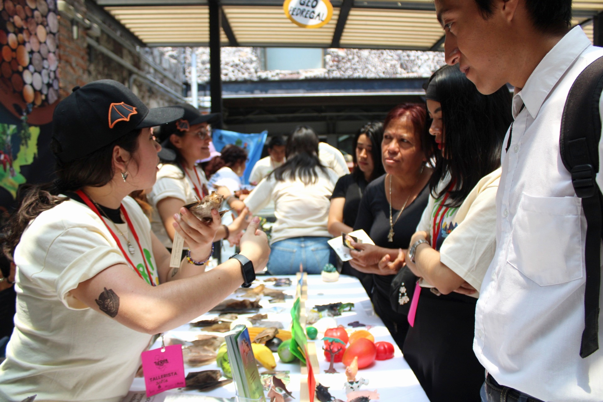 Fotografías por Astrid Salgado. Evento TierraFest 2024.