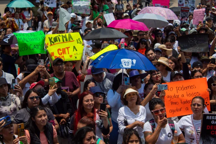 IMG_5531 Tras los hechos recientes sobre la tortura de gatos en China, defensores de los animales marcharon desde el Ángel de la Independencia hasta Palacio Nacional, para denunciar la crueldad animal en el país. A su vez, se exhibieron actos hacia los animales de santería en el Mercado de Sonora y negligencia a causa del Tren Maya, en México.