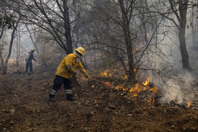 INCENDIOS CHILPANCINGO