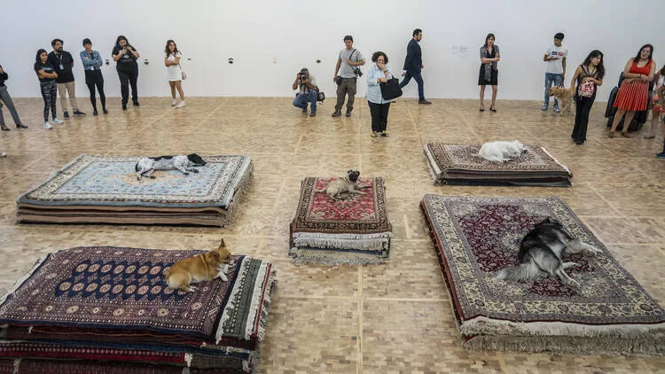 La Controvertida Exposición "Casts" en el Museo Tamayo: perros reales en el centro de la polémica en la Ciudad de México El pasado 23 de mayo del 2024 el museo Rufino Tamayo inauguró la exposición de la artista Nina Bieber llamada “CASTS”, la cual terminó causando una excesiva controversia en redes sociales.