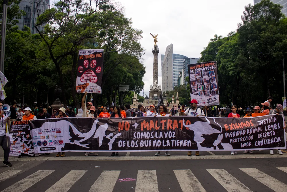 01-5609 Marcha Ciudadana Nacional por el Derecho de los Animales