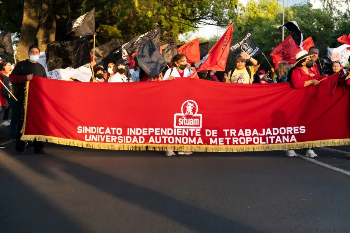 situam (1)