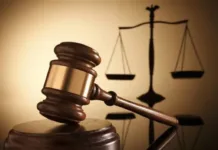 ¿Votar o no votar en la elección del poder judicial? La disputa por los fundamentos del Estado