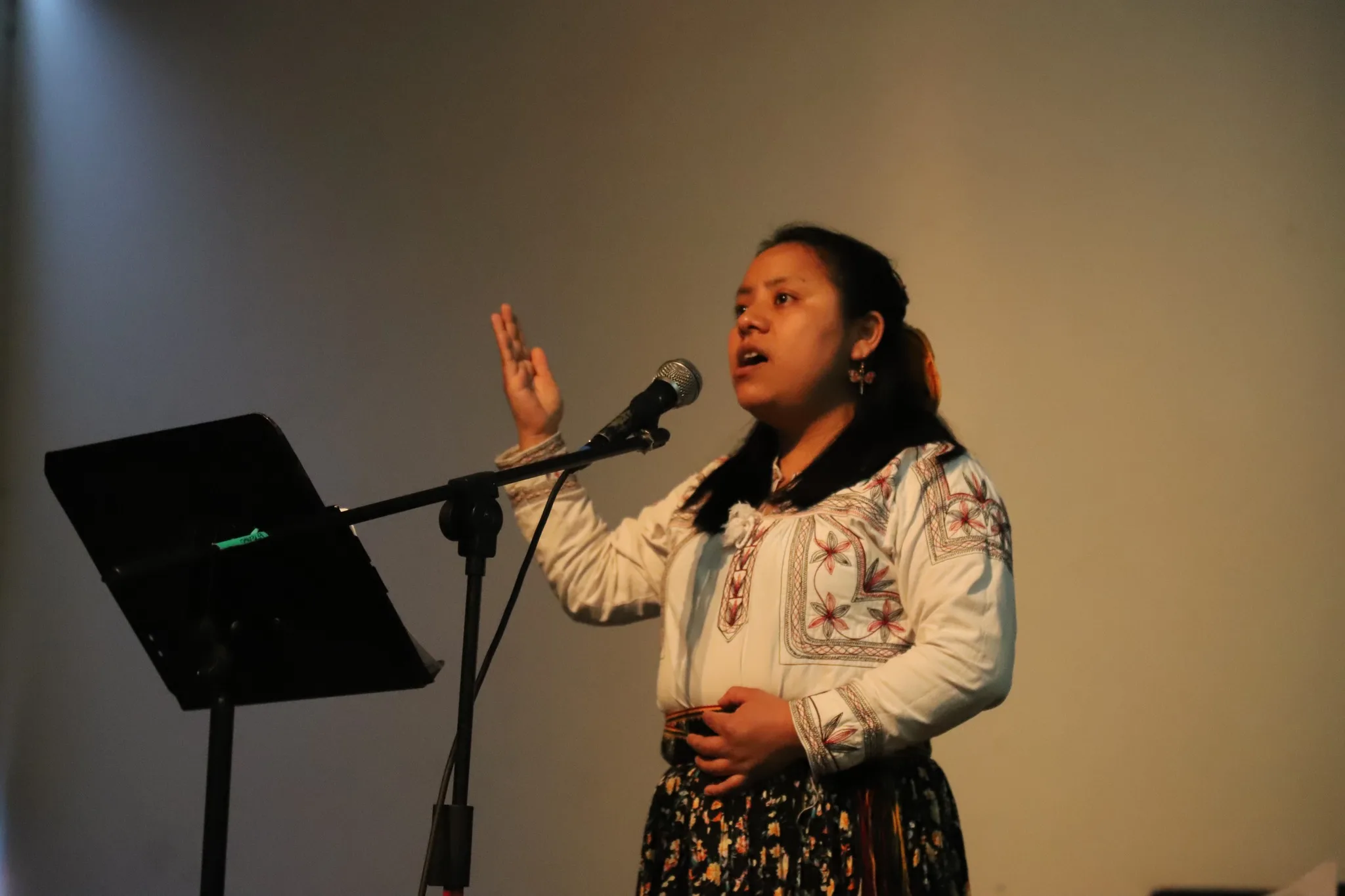 Pueblos originarios alzan la voz con el concierto Briznas de Esperanza contra la violencia en sus territorios