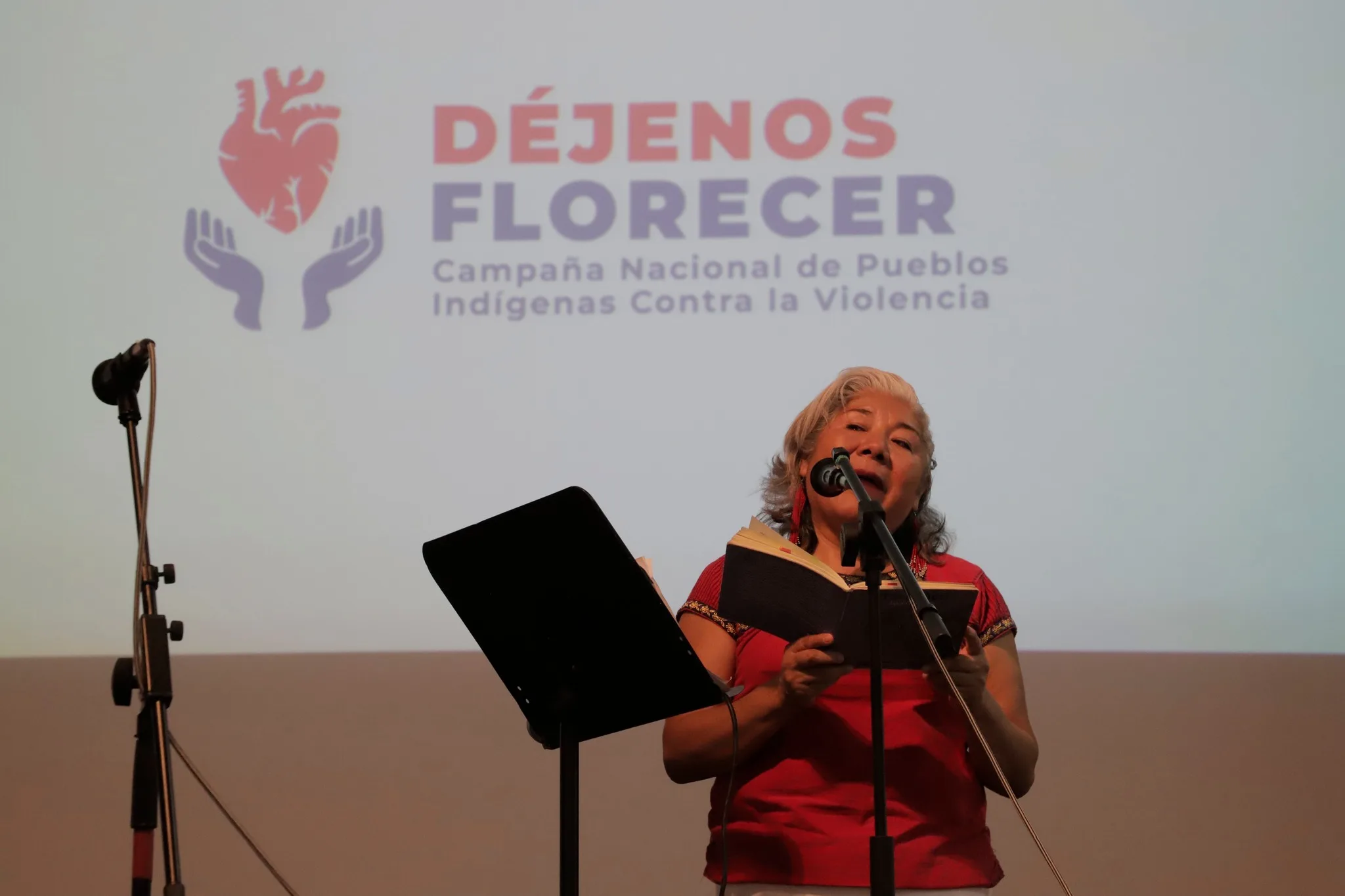 Pueblos originarios alzan la voz con el concierto Briznas de Esperanza contra la violencia en sus territorios