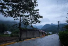 La lucha de Eloxochitlán de Flores Magón retratada en el documental “Edén Subvertido” que será parte de la muestra de DOCSMX 2025 Eloxochitlán de Flores Magón